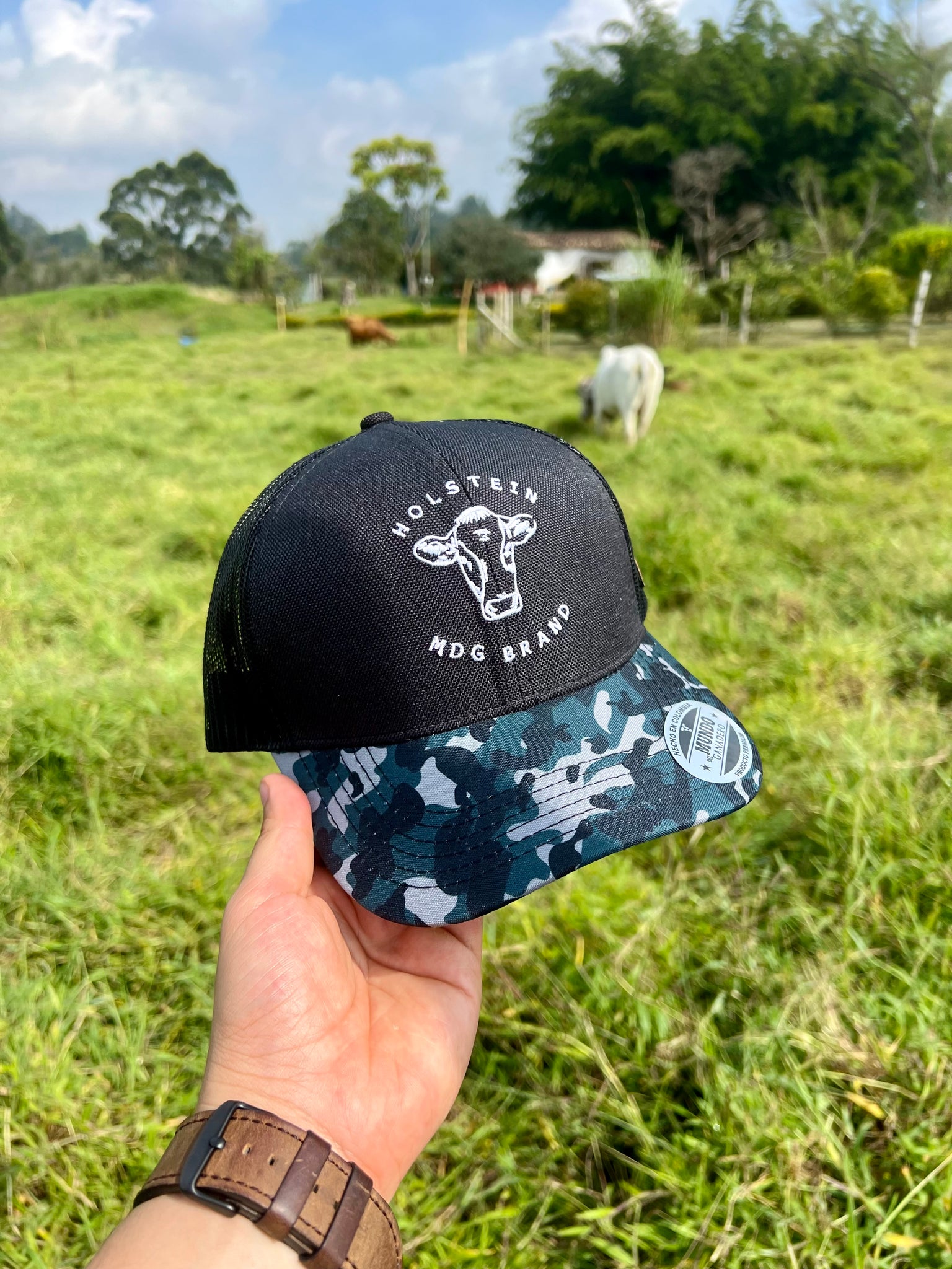 Gorra Holstein MDG Brand Negra