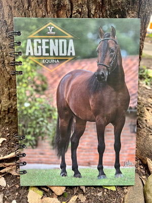 Agenda Equina MDG ( 4 materias ) VERDE 601