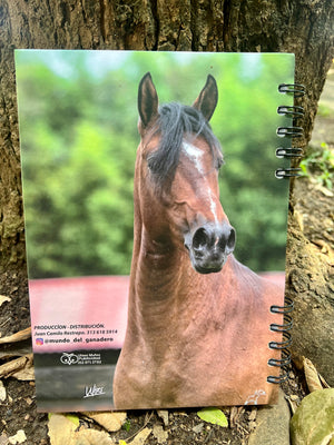 Agenda Equina MDG ( 4 materias ) VERDE 601