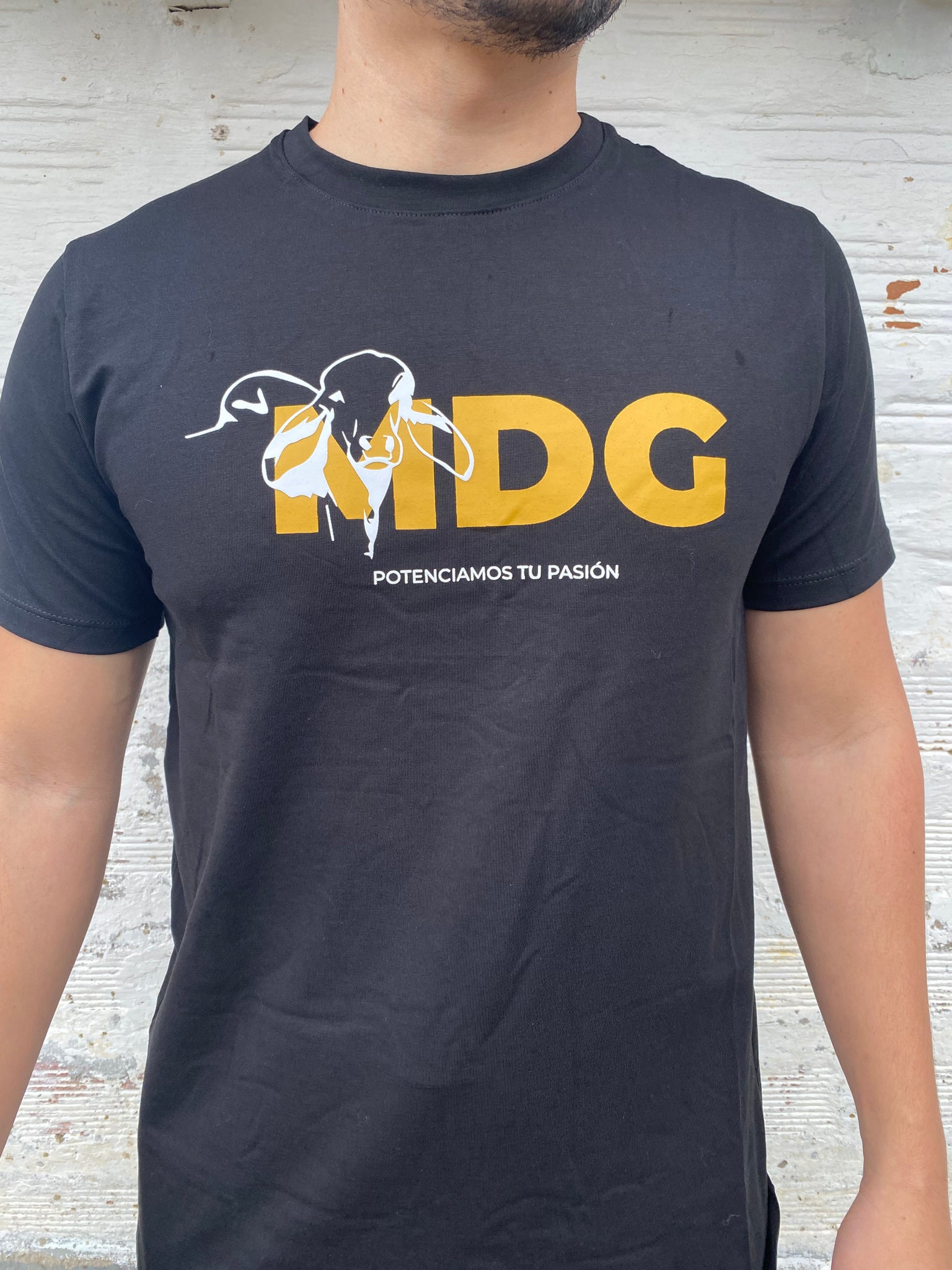 Camiseta Brahaman MDG Negra 1458