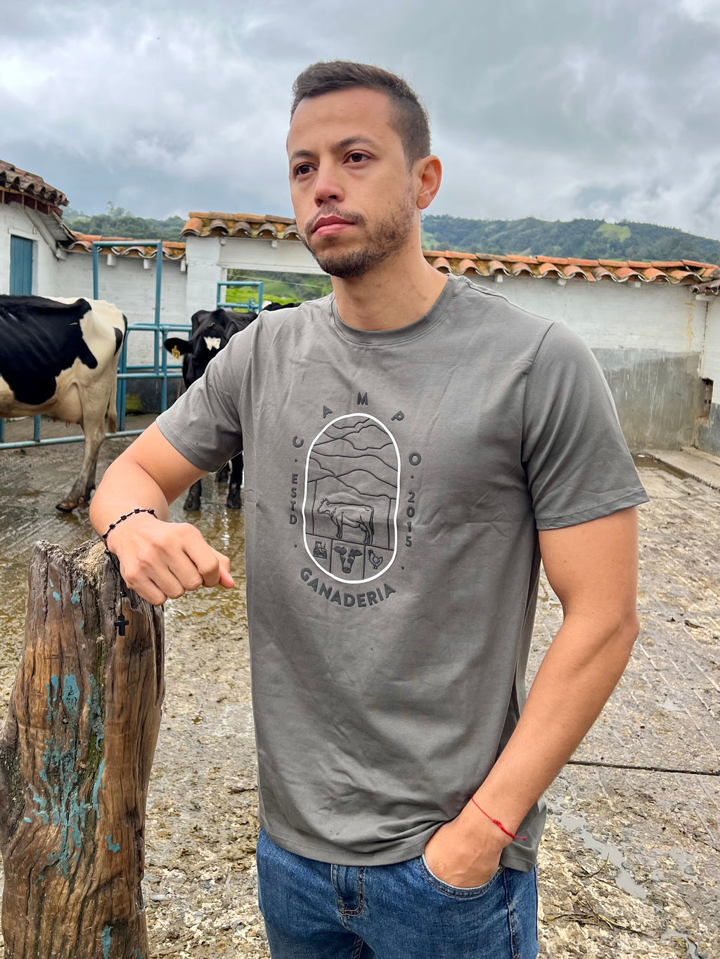 Camiseta Ventana Campo gris hombre 1482
