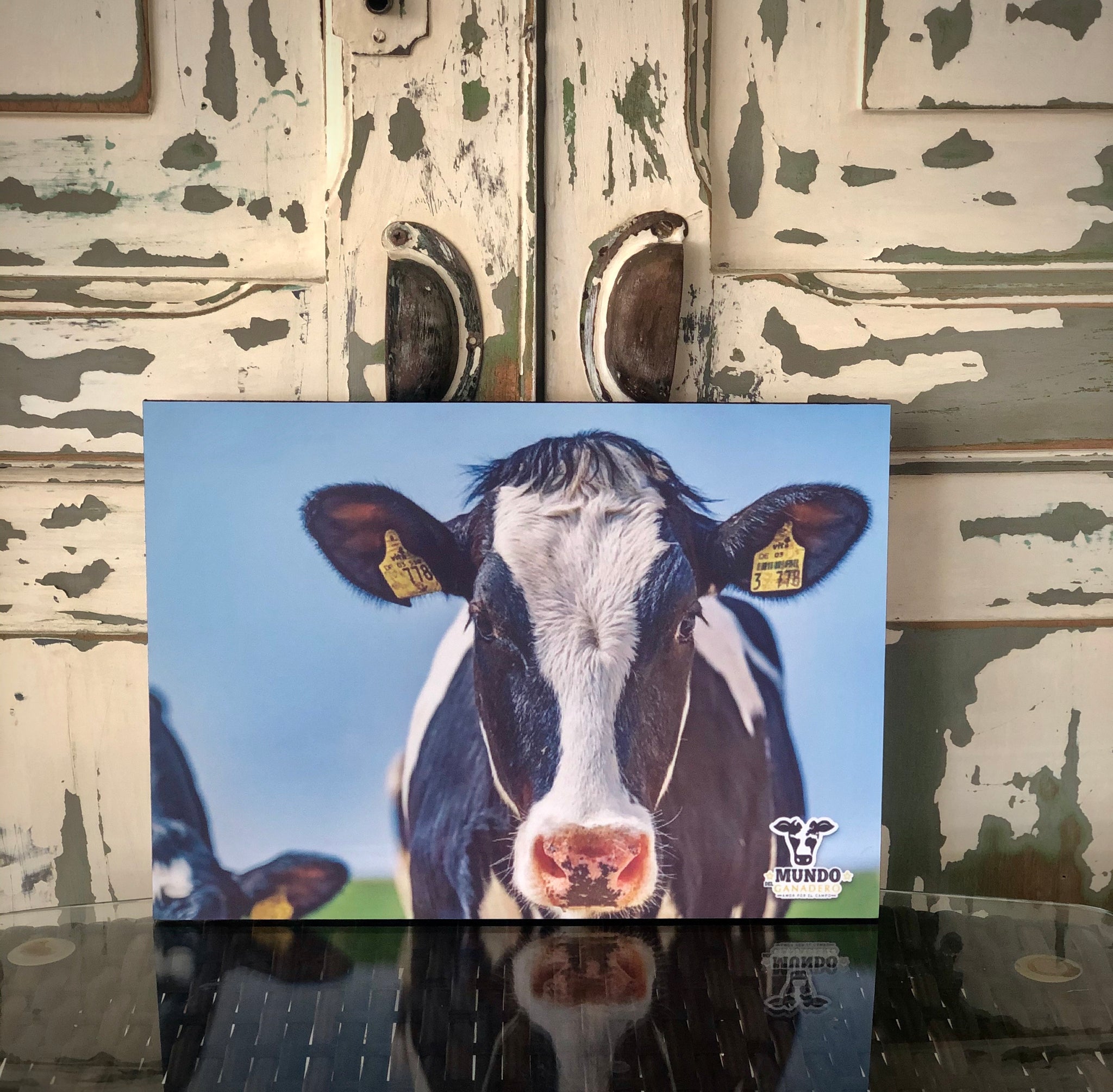 Poster Holstein Decorativo