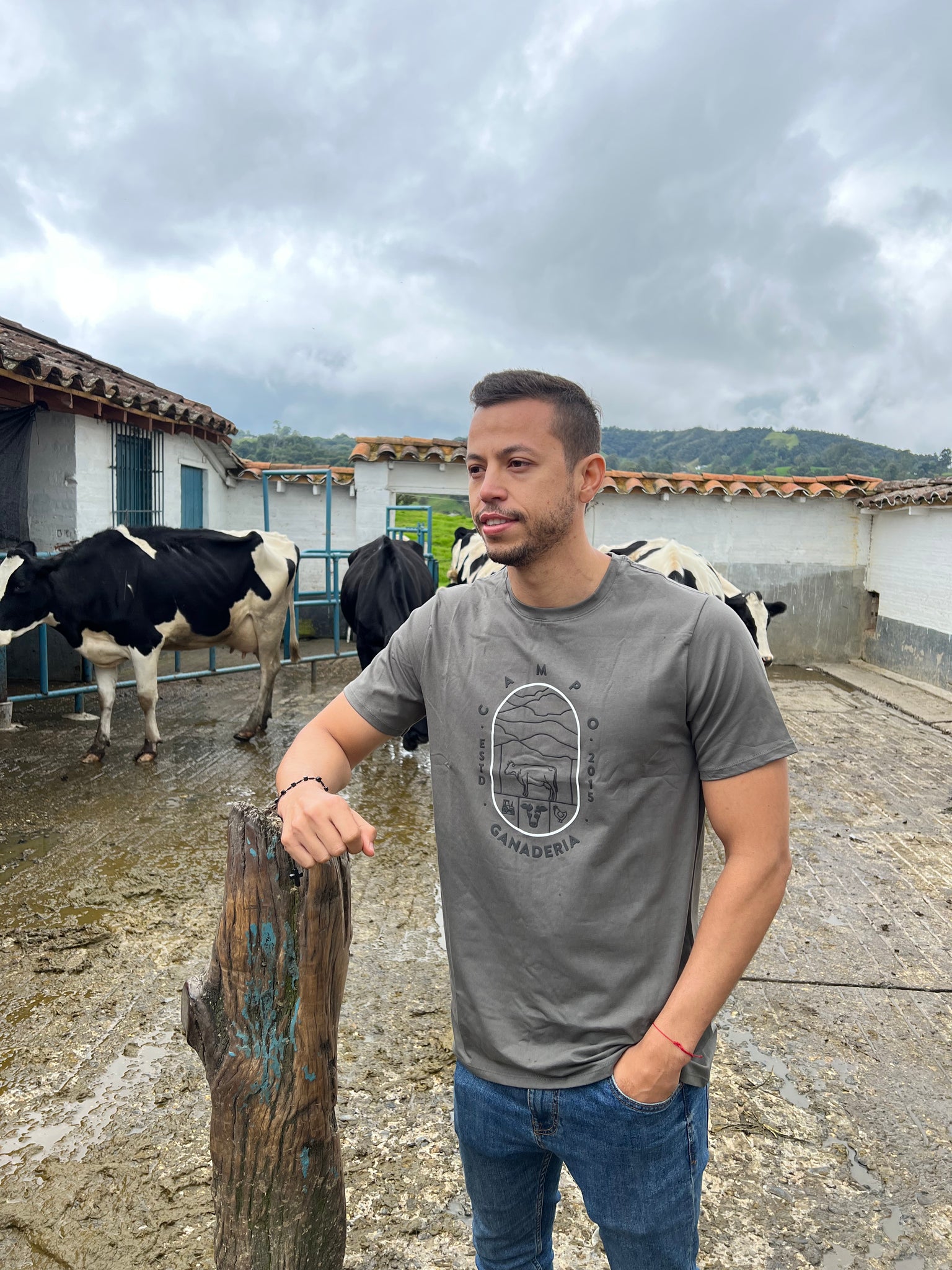 Camiseta Ventana Campo gris hombre 1482