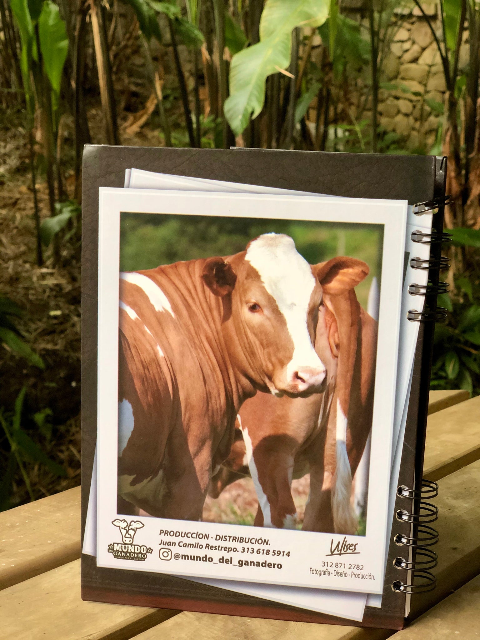 Cuaderno Simmental Cria ( cuadriculado o rayado) 256