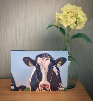 Poster Holstein Decorativo