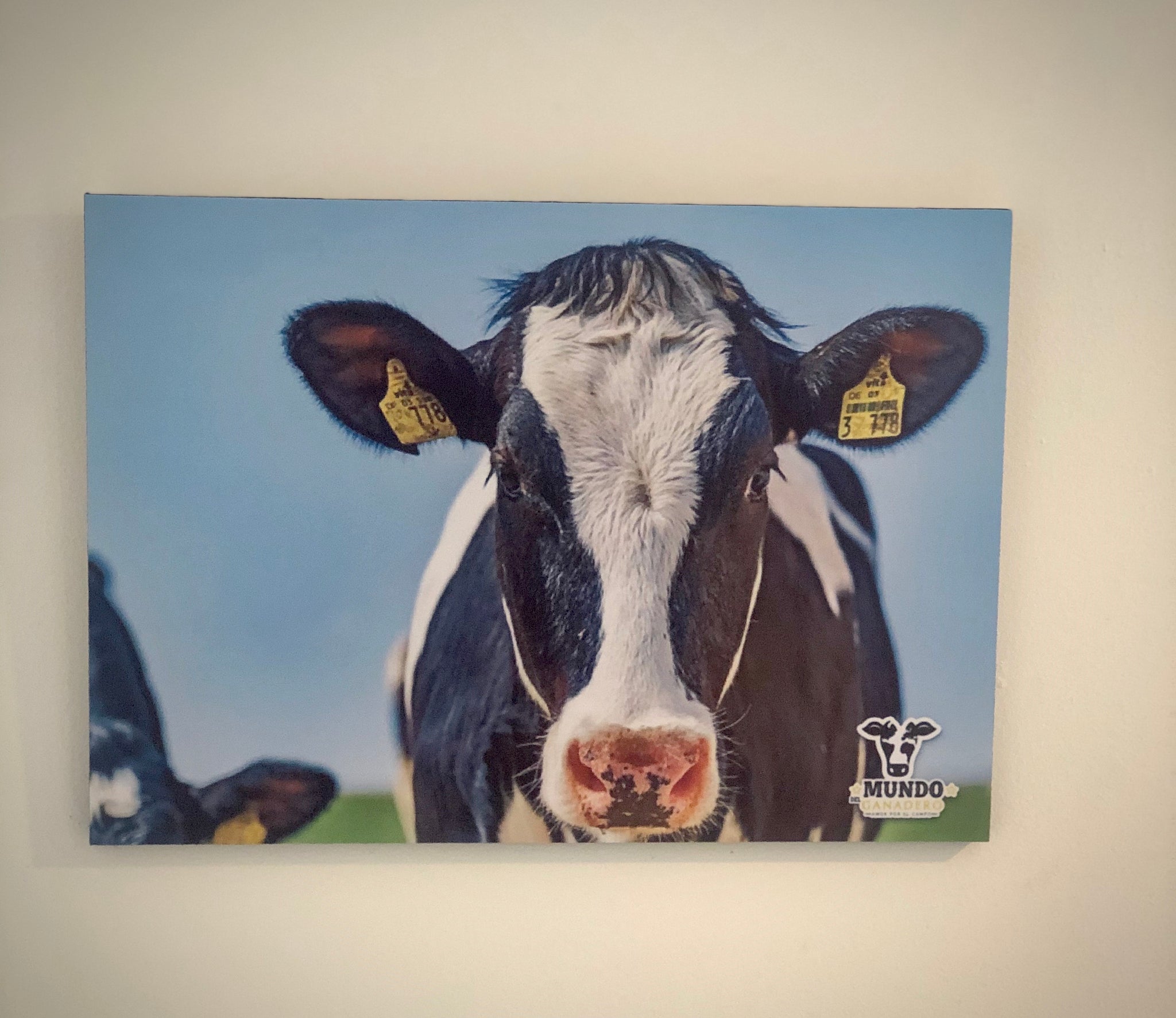 Poster Holstein Decorativo