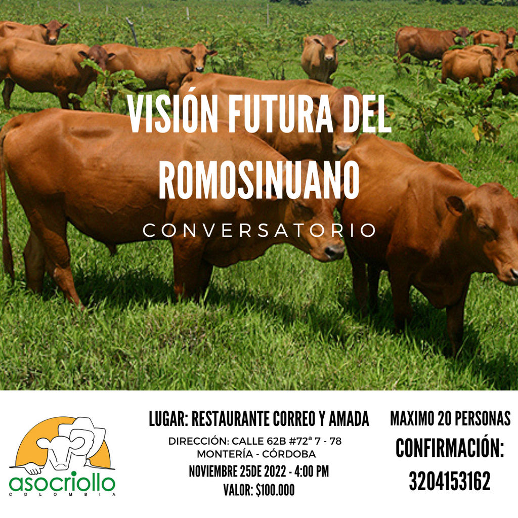 Conversatorio Visión futura del Romosinuano